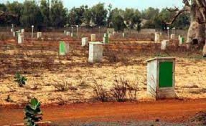 Litiges fonciers à Mbane : Ces volcans qui se réveillent