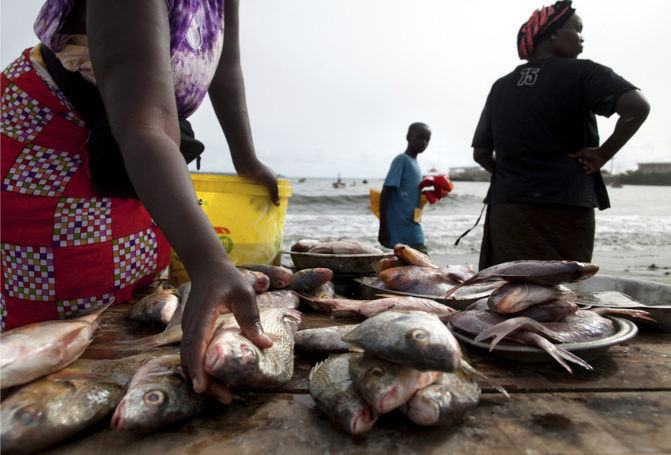 Cherté de la vie au Sénégal : Greenpeace veut l’application des conclusions sur la pêche