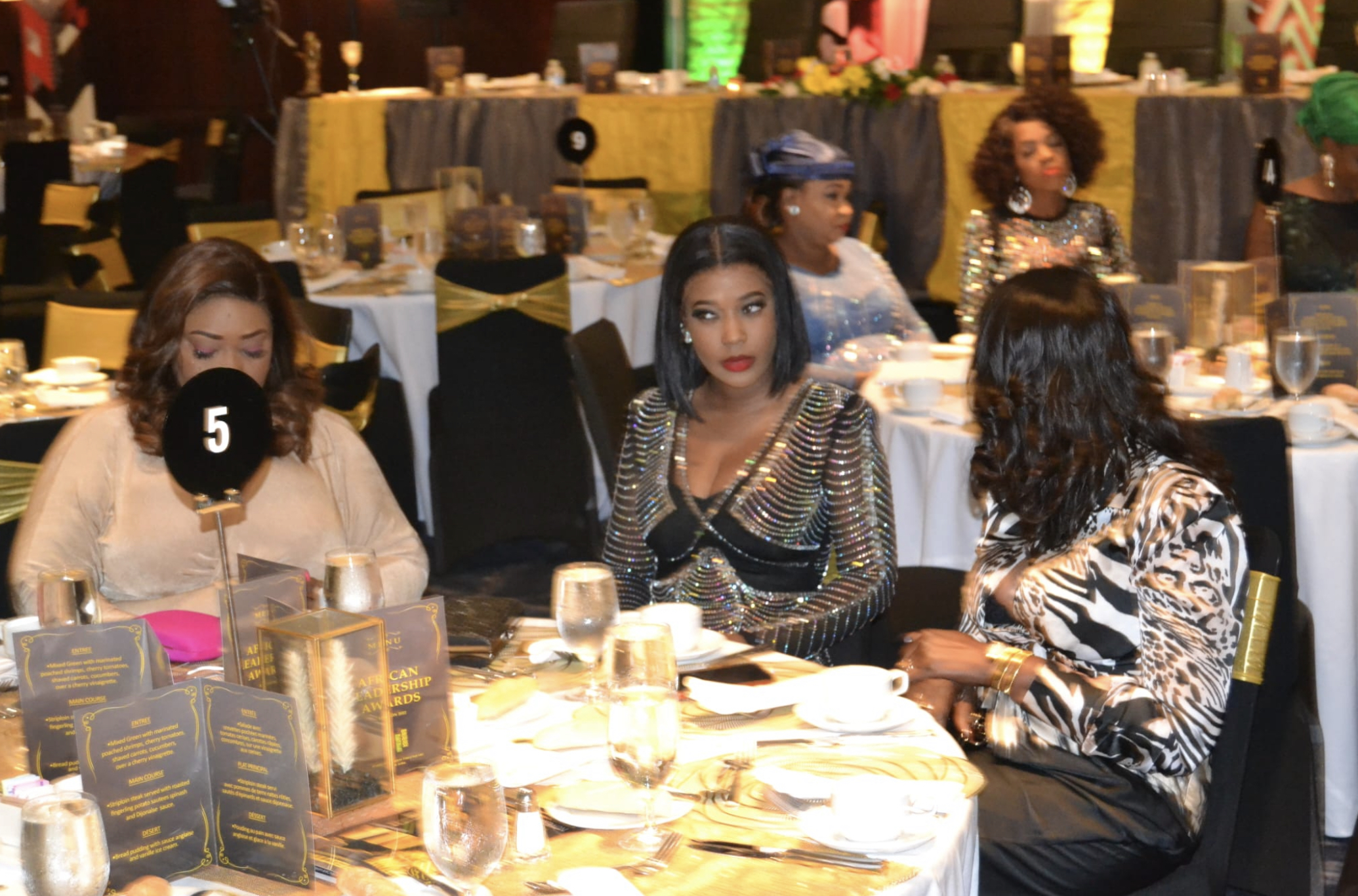 Soirée de gala des African Leadership Awards avec Promo Consulting en partenariat avec le MEDS au Marriot Marquis Time Square de New York. En images.