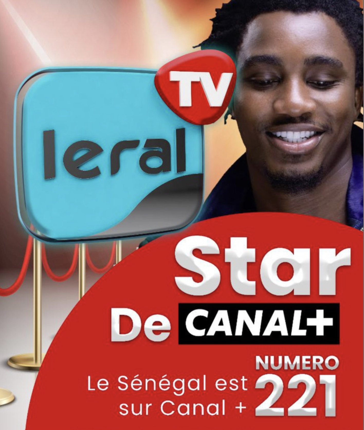 Web, audiovisuel : Avec Canal+, le groupe Leral élargit sa gamme de produits et son accessibilité à l'international