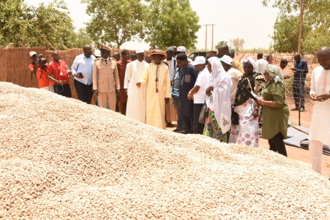 Tournée agricole d’avant l’hivernage à Tambacounda et Kolda: Aly Ngouille Ndiaye visite les dispositifs de la campagne agricole