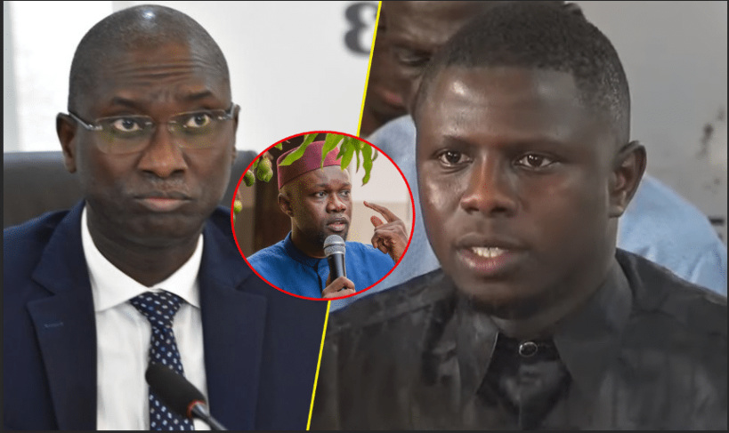 Condamnation d'Ousmane Sonko: Me Ngagne Demba Touré détruit Ismaela Madior Fall