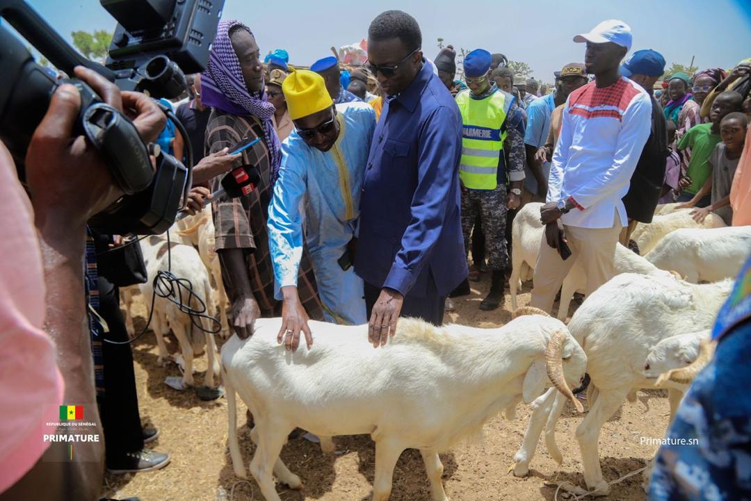 EN TOURNEE DANS LES MARCHES A BETAIS LE PREMIER MINISTRE AMADOU BA RASSURE ...