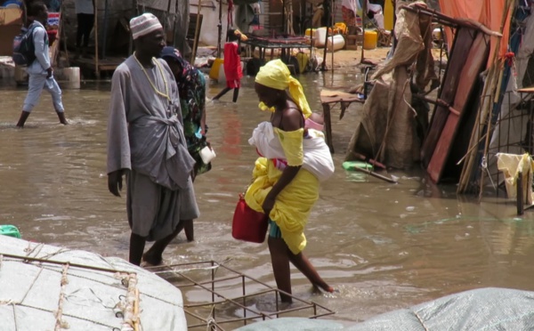 Ville de Touba: Les fortes pluies enregistrées dans la nuit du dimanche au lundi, ont causé beaucoup de désagréments aux populations