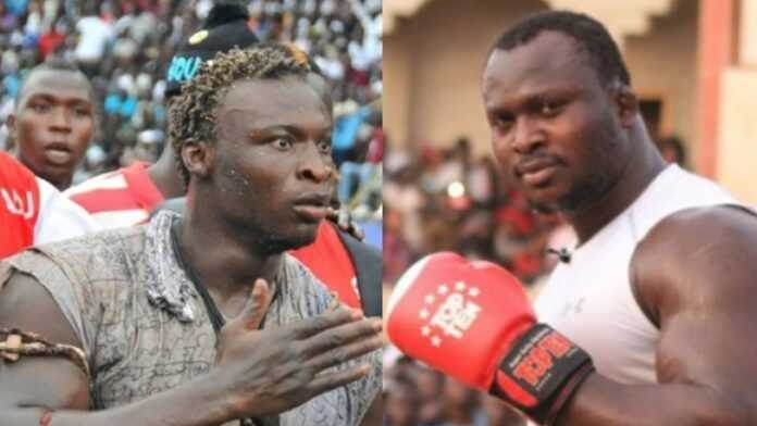 Choc Modou Lo vs Ama Baldé : Une nouvelle date fixée