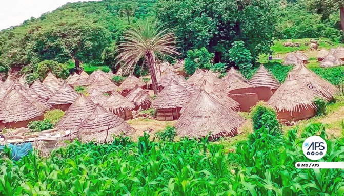 Kédougou : les villages du Plateau de Dindé Félo étalent leurs maux