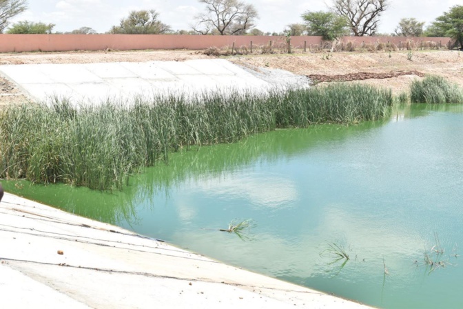 Bassin de Darou Rahmane et Pofdy: Les deux bassins renforcés et sécurisés