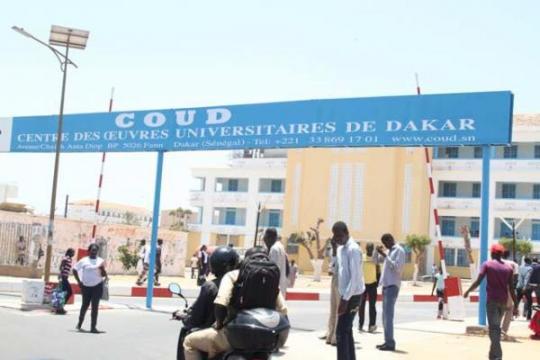 Université Cheikh Anta Diop : Neuf étudiants arrêtés pour trafic de faux certificats d’indigence