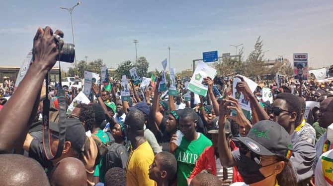 Élevage: Amadou Ba, Premier Ministre réceptionne 1300 génisses gestantes à haut potentiel laitier