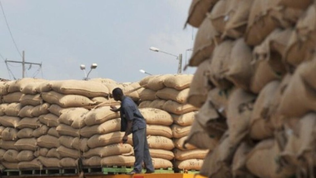 Côte d’Ivoire : La valeur des exportations de biens a atteint 10.166,1 milliards FCfa en 2022