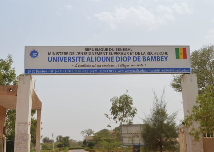 Université Alioune Diop de Bambey : la recrudescence de cas de VIH et de l’hépatite B sème la panique