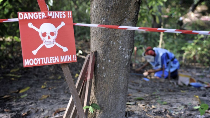 Déminage en Casamance : une lutte pour la sécurité et la valorisation des terres, un défi pour le retour des populations déplacées