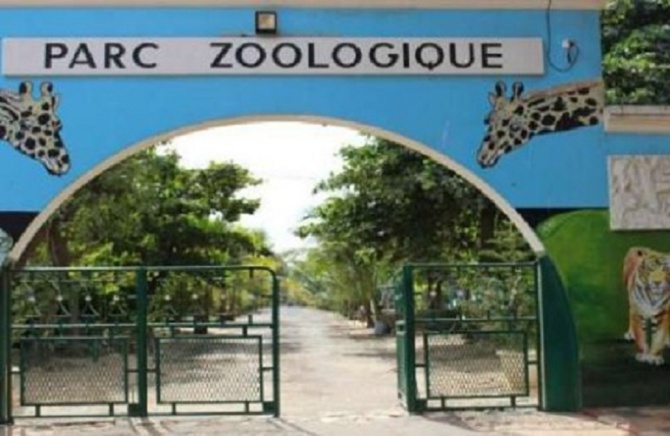 Parc zoologique de Hann : Entre dénégation ministérielle et réalité alarmante (Les Chroniques citoyennes d’Adama Diop)