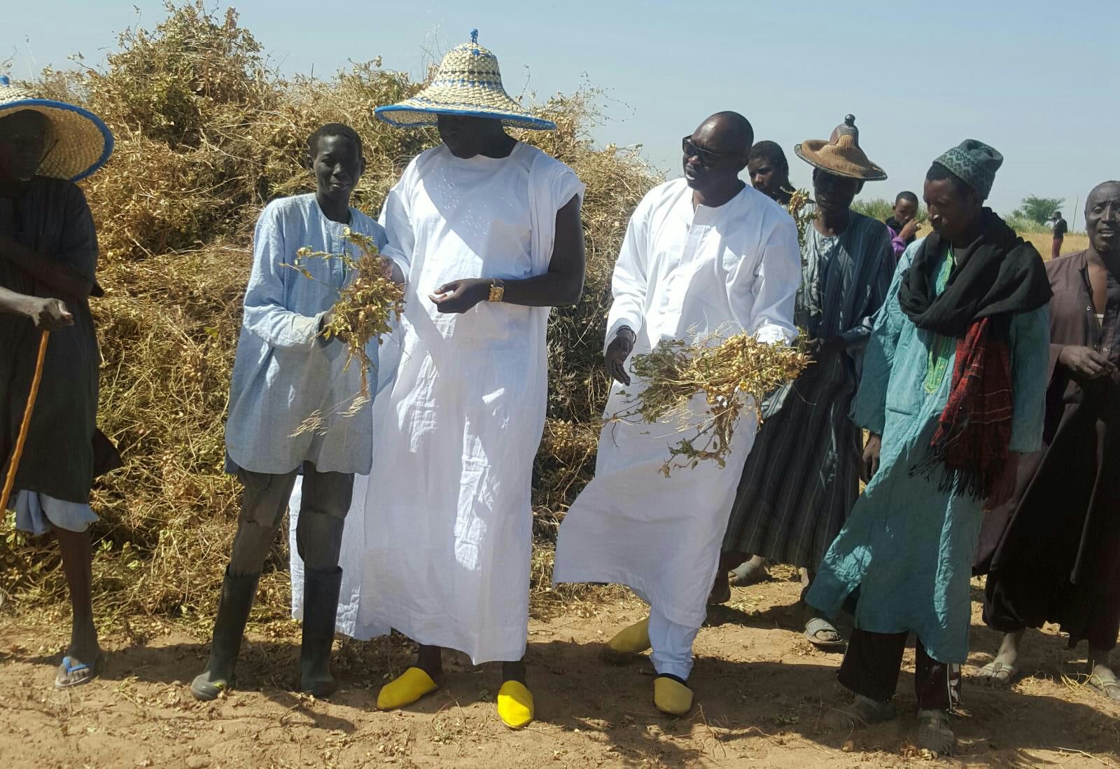 IMAGES: Serigne Djily Fatah en visite dans ses champs à Hosnoul Mahab 3 Ndindy.