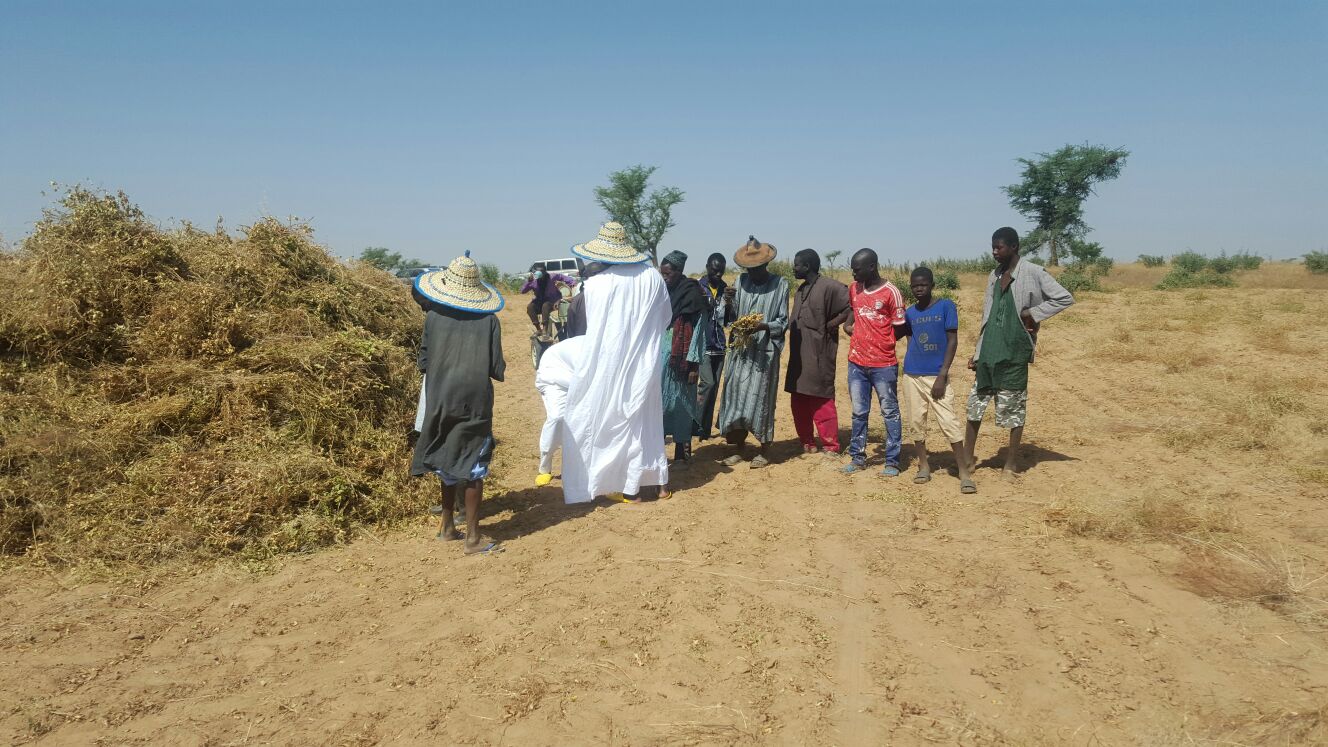 IMAGES: Serigne Djily Fatah en visite dans ses champs à Hosnoul Mahab 3 Ndindy.