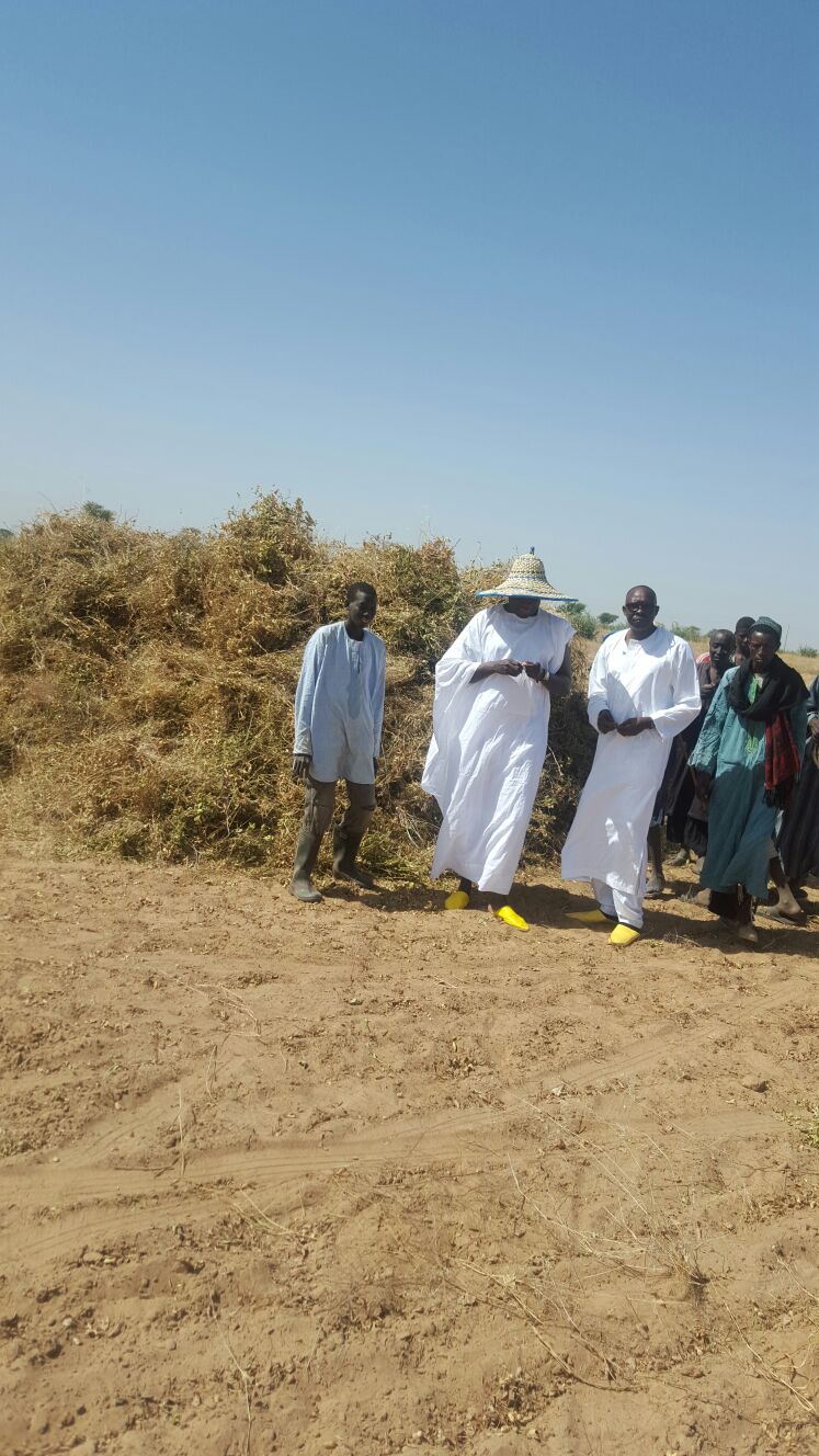 IMAGES: Serigne Djily Fatah en visite dans ses champs à Hosnoul Mahab 3 Ndindy.