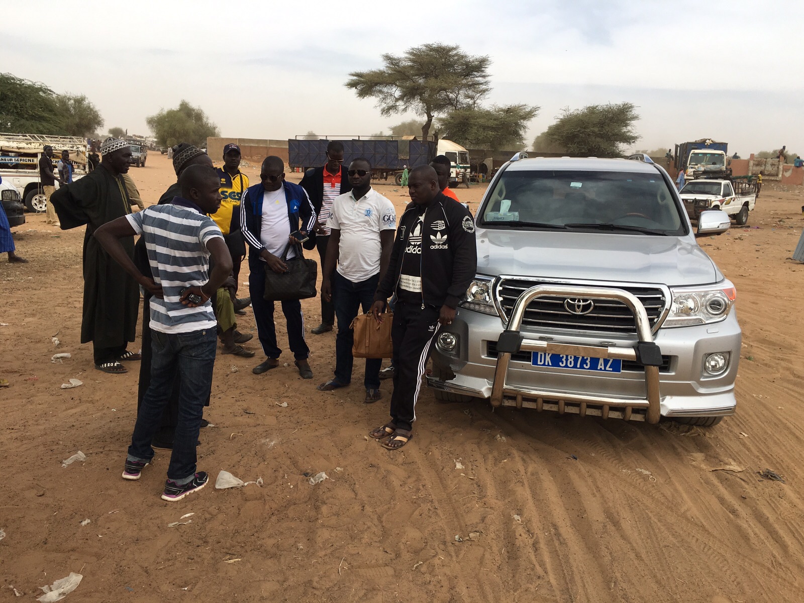 Gamou Tivaoune 2015: L'homme d'affaire Aziz Ndiaye offre des bœufs aux chefs religieux de la ville sainte de Tivaoune.