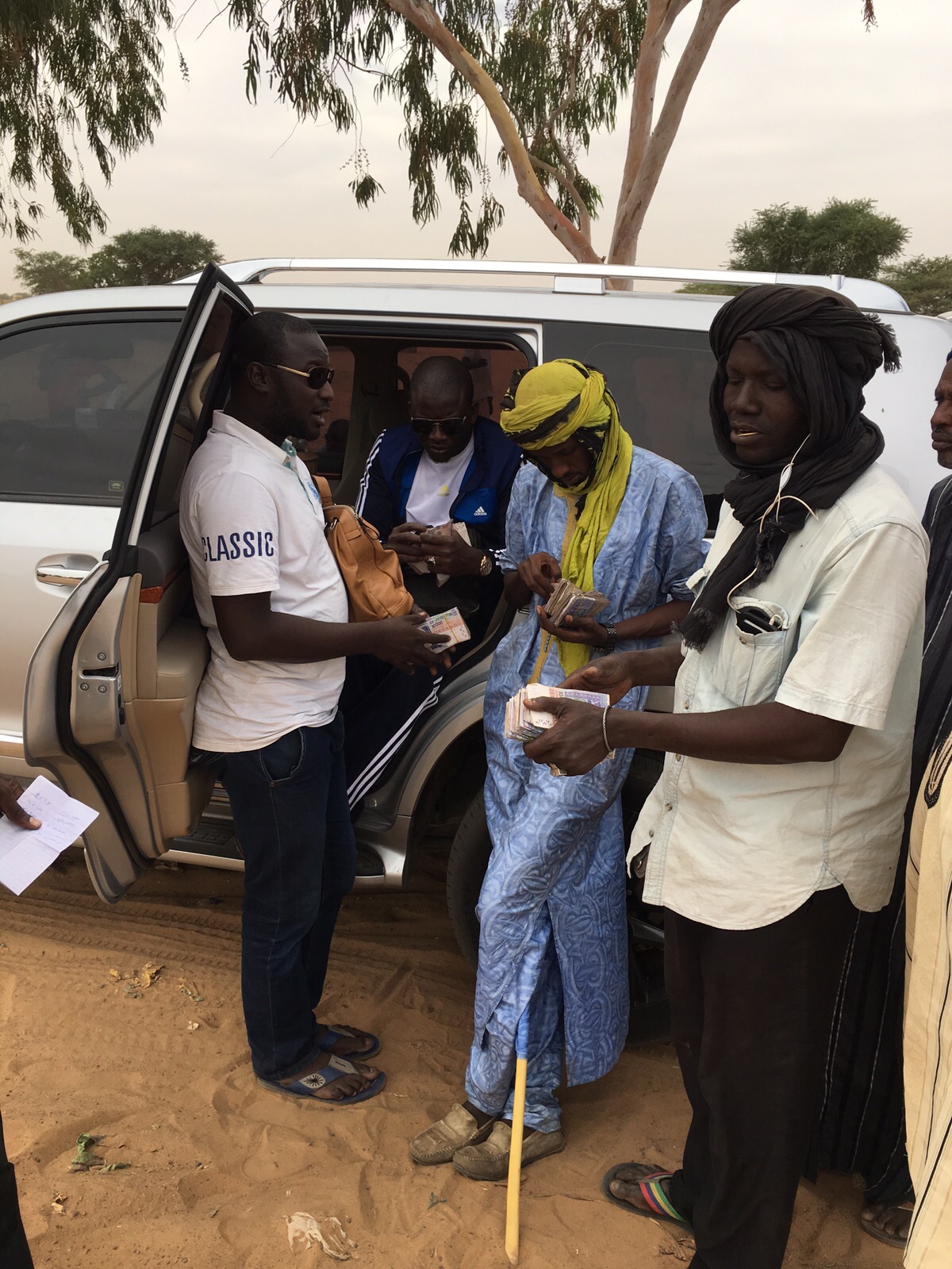 Gamou Tivaoune 2015: L'homme d'affaire Aziz Ndiaye offre des bœufs aux chefs religieux de la ville sainte de Tivaoune.