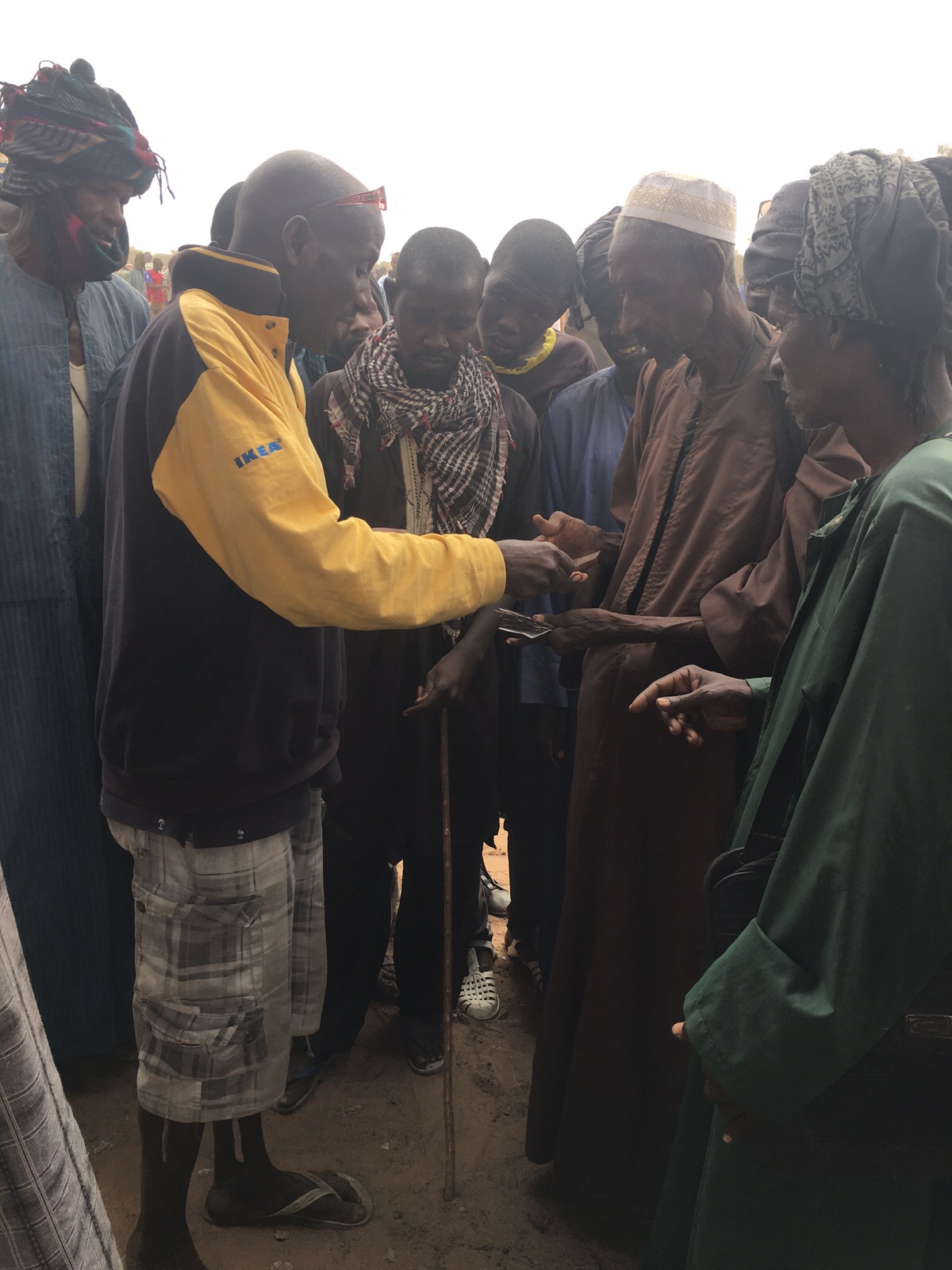 Gamou Tivaoune 2015: L'homme d'affaire Aziz Ndiaye offre des bœufs aux chefs religieux de la ville sainte de Tivaoune.