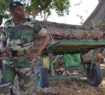 Trois officiers des Eaux et Forêts du Sénégal arrêtés par la police Gambienne