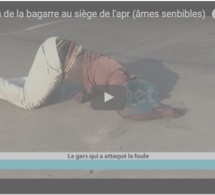 Vidéo : Une grande bagarre éclate au siège de l'APR (âmes sensibles s'abstenir