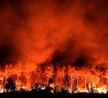 Vidéo : Incendie sur la route de Ouakam : C'est l'enfer avec beaucoup de dégâts matériels, dont des bus d'un nommé Jean Monteiro