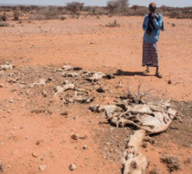 Somalie: 110 décès en 48 heures à cause de la sécheresse