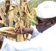 Guinée Equatoriale:Yahya Jammeh veut se lancer dans l’agriculture