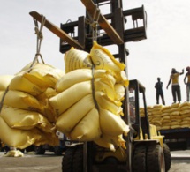 Importation du riz : Une facture de 226,4 milliards en 2015