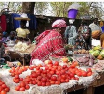 Agriculture : comment l'Afrique de l'Ouest s'y prend sur les marchés internationaux