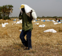 Alerte rouge: 800 000 Sénégalais en proie à la famine !