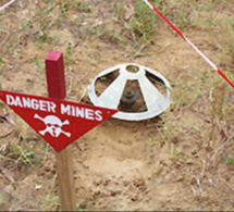 Ziguinchor: L’armée fait exploser une mine