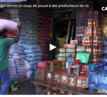 idéo – Le Sénégal donne un coup de pouce à ses producteurs de riz