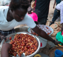 Rebellion et tapage nocturne : le douanier Cheikh Diouf fait condamner les distributeurs de Ndogou à Ouest Foire