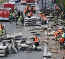 Autriche: des milliers de poules bloquent une autoroute