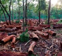 Linguère : Un indicateur des Eaux et Forêts tire sur un chauffeur