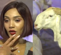 Adja Diallo et le mouton, regardez la vidéo