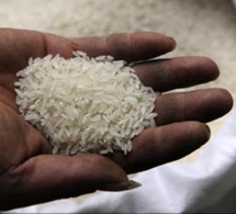 Sécurité alimentaire en riz en Afrique de l’Ouest : Syngenta juge ‘’insuffisante’’ la production sur le continent