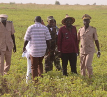 Khelcom: Pape Abdoulaye Seck magnifie l'exemple du périmètre agricole de feu Serigne Saliou Mbacké