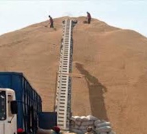 Campagne arachidière: Les Chinois désertent le marché sénégalais