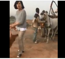 (Vidéo) Un toubab intervient dans une “bagarre” entre un homme et son cheval: ”Dama koy ray dé”