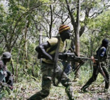 Arrestation suite au meurtre de 14 bûcherons dans la forêt de casamance.