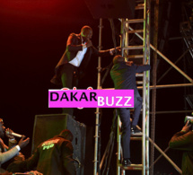 Exclusivité -Concert en Gambie : Du jamais vu Youssou Ndour excité, grimpe sur un poteau !