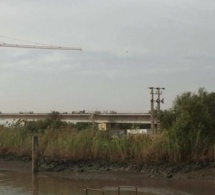 Pont sur le fleuve Gambie : les travaux réalisés à hauteur de 60%