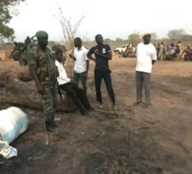 Trafic de bois: le Sénégal exerce un droit de poursuite en Gambie