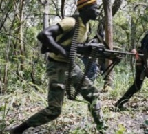 Casamance : 829 personnes tuées par des mines, 70 villages rayés de la carte