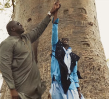 Vidéo : Yékini réapparaît dans le nouveau clip de Pape Diouf  » Séréres  »Regardez !