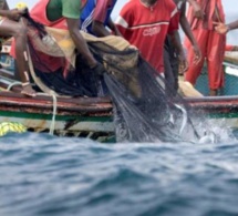 Rufisque : La rareté du carburant réduit les pêcheurs au chômage technique