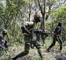 Ziguinchor : un enfant qui ramassait des noix d’anacarde, ‘’canardé’’ par des bandes armées