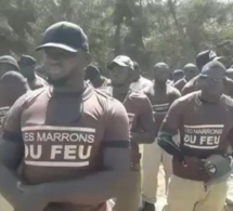 Manifestation « Marrons du feu » à Mermoz: plusieurs arrestations enregistrées